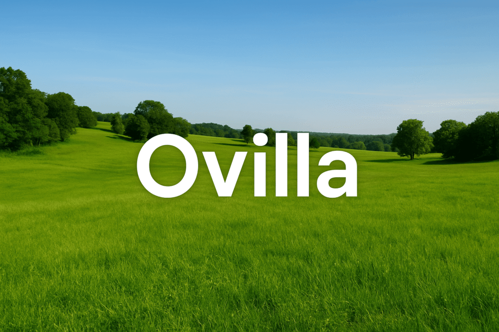 Cash For Cars in Ovilla, Texas